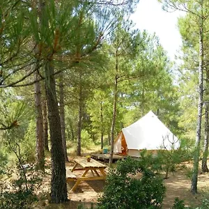 Forest Days Campo de lujo Navès
